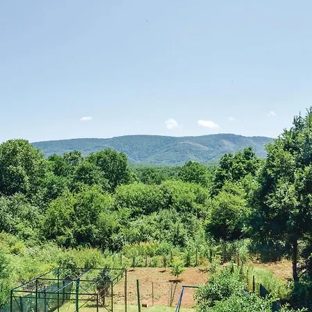 Ваканционна къща Four-bedroom Holiday In Village Велика